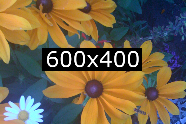 Beautiful Girl Working Outside